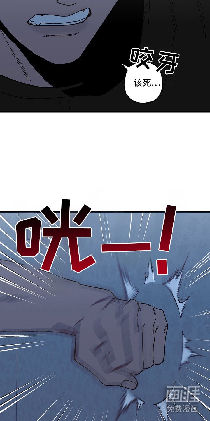 第9章：照片