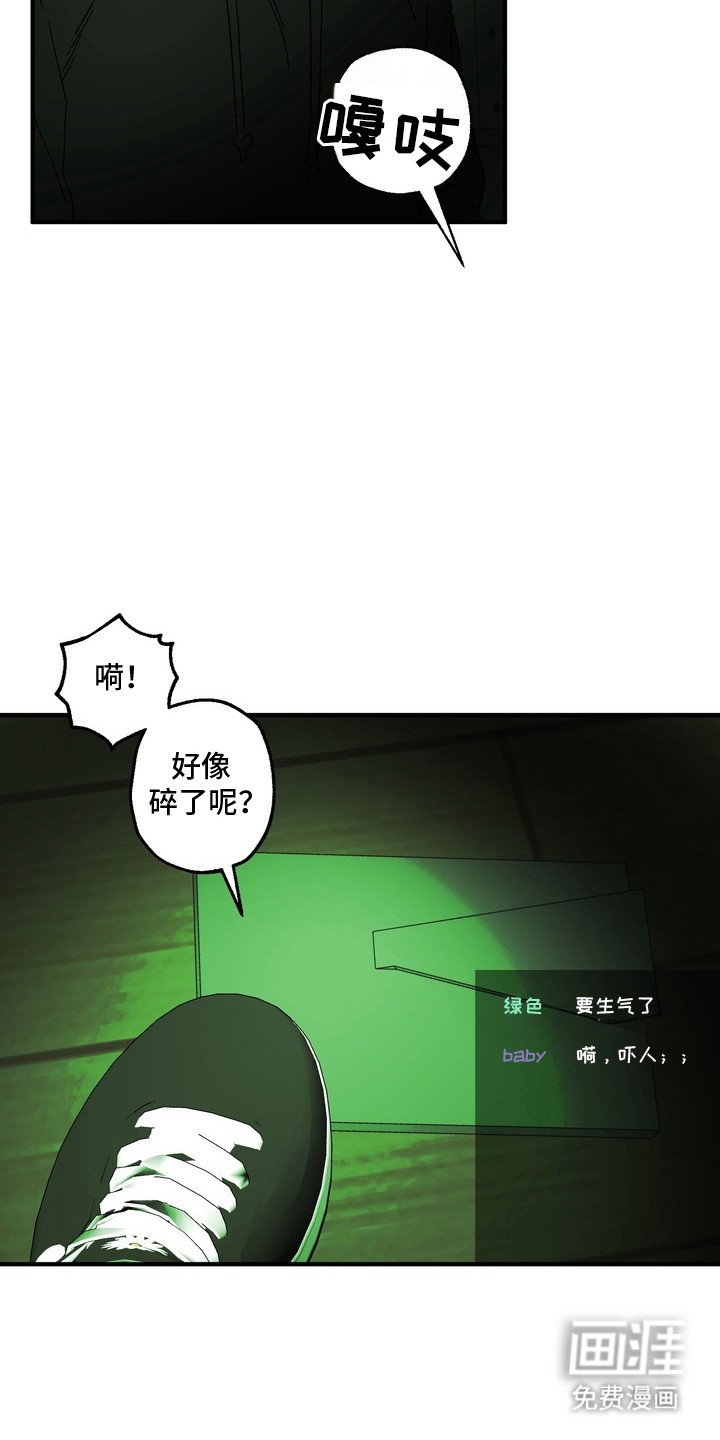 第9章：照片