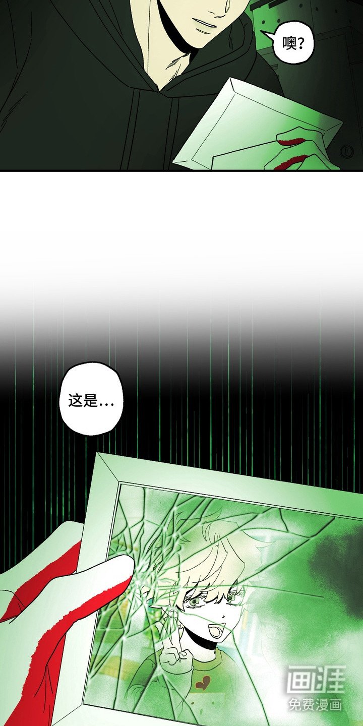 第9章：照片