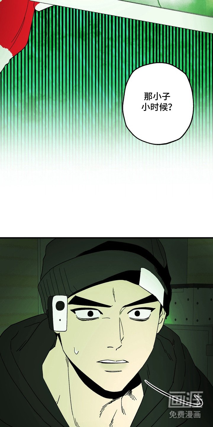 第9章：照片