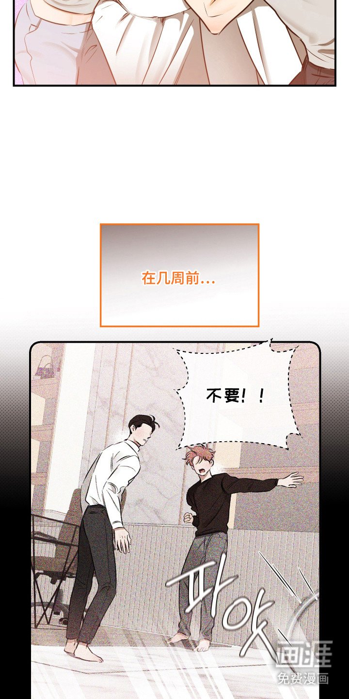 第7章：魅力