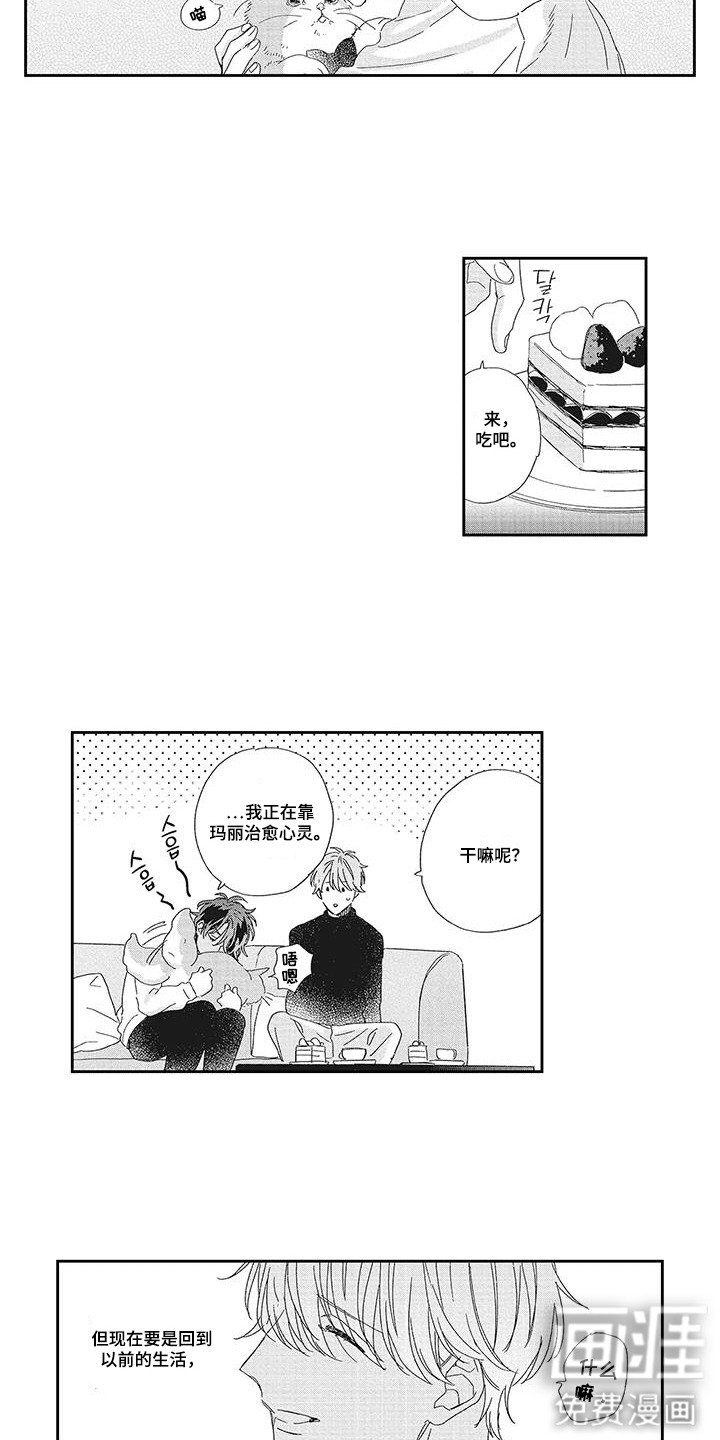 第12章：烦恼