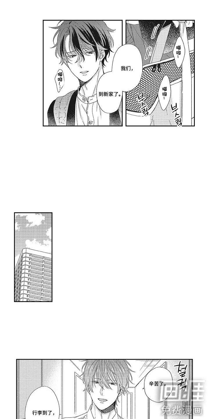 第3章：接受提议