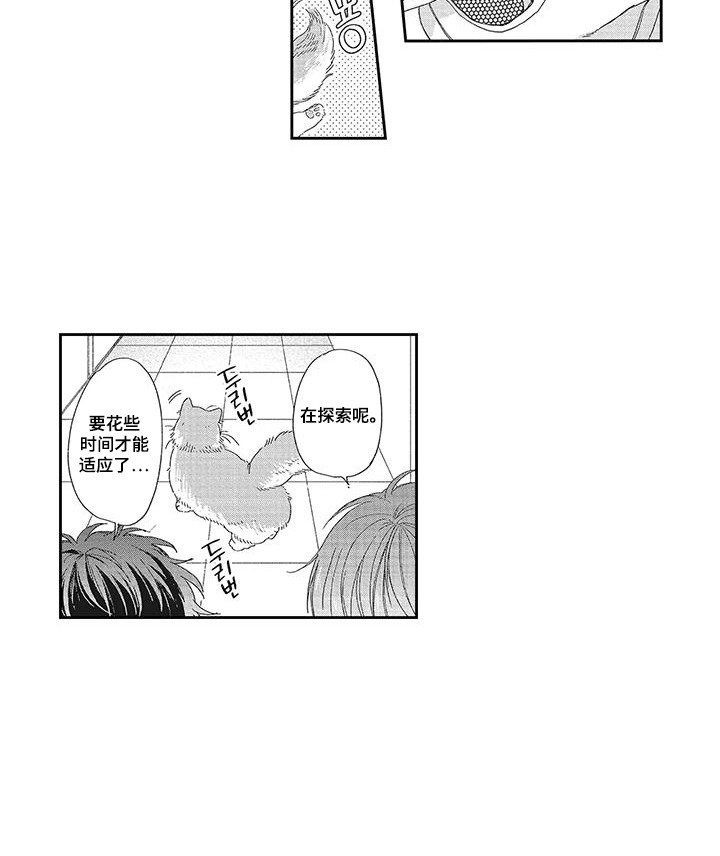 第3章：接受提议