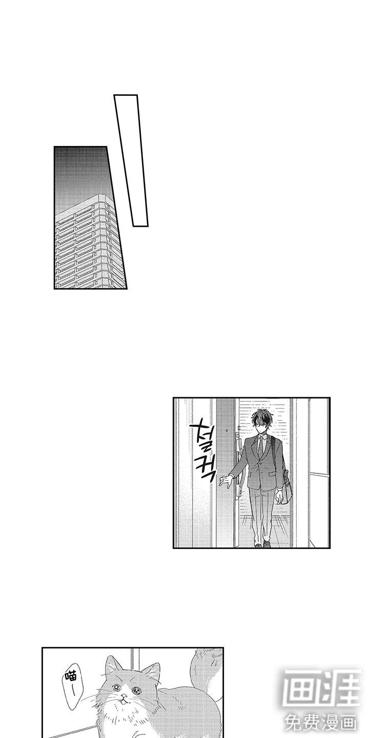 第5章：界线