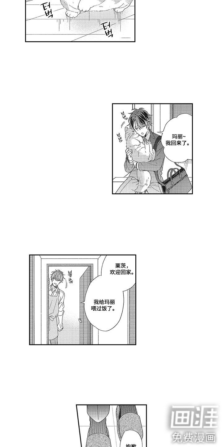 第5章：界线