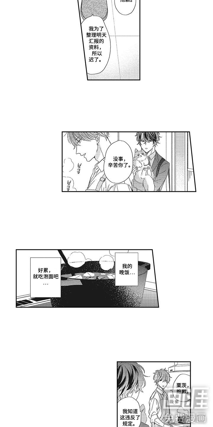 第5章：界线
