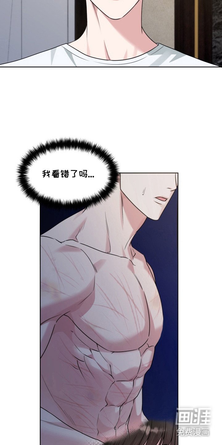 第13章：伤口