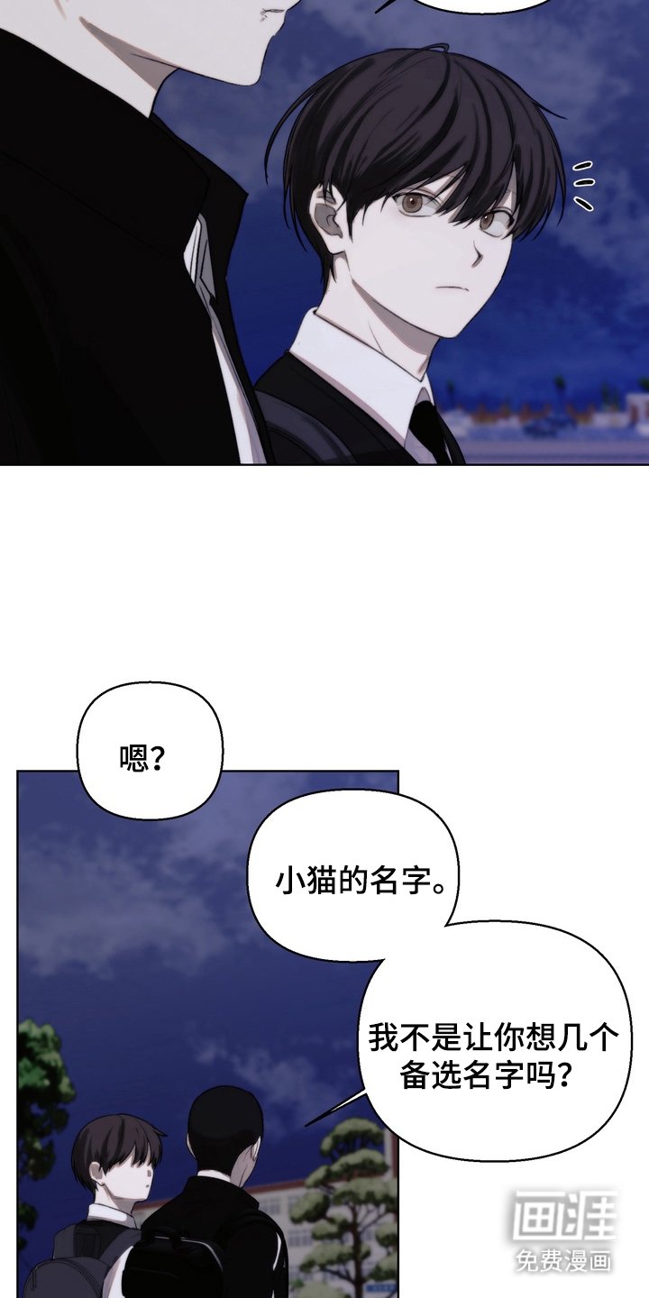 第15章：运动