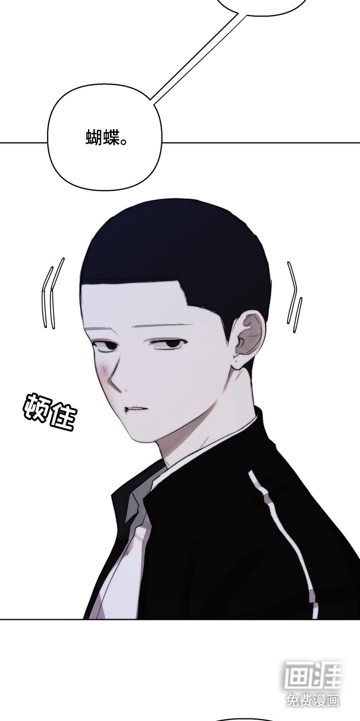 第15章：运动