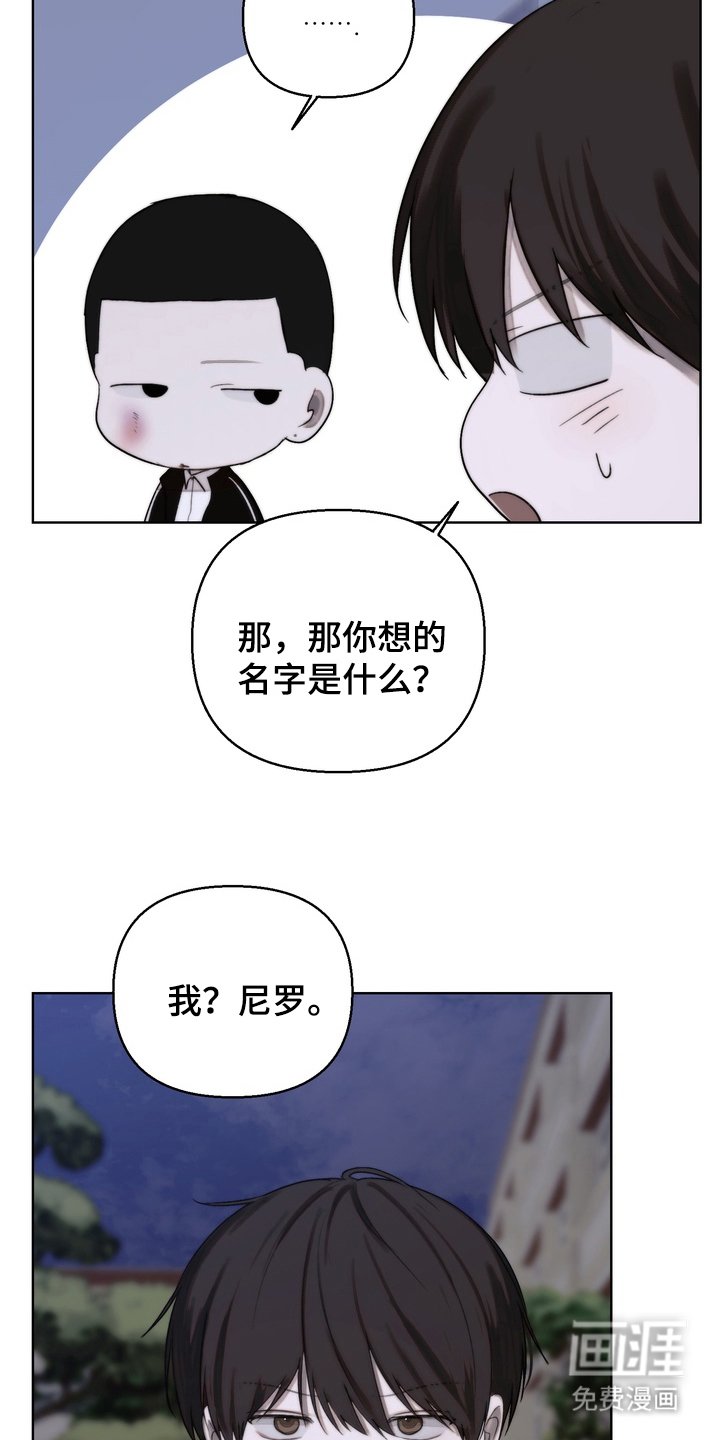 第15章：运动