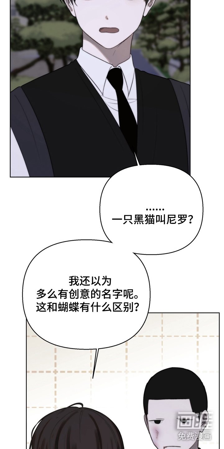 第15章：运动