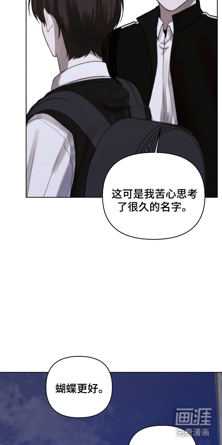 第15章：运动