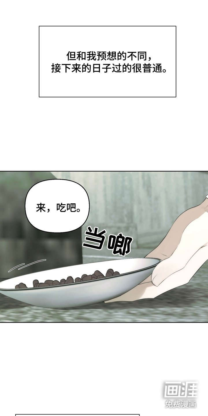 第3章：迷之米饭