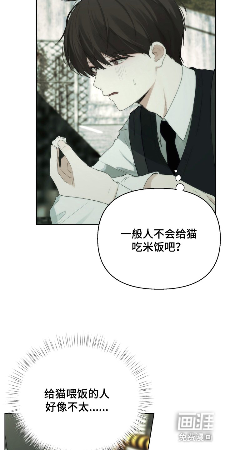 第3章：迷之米饭