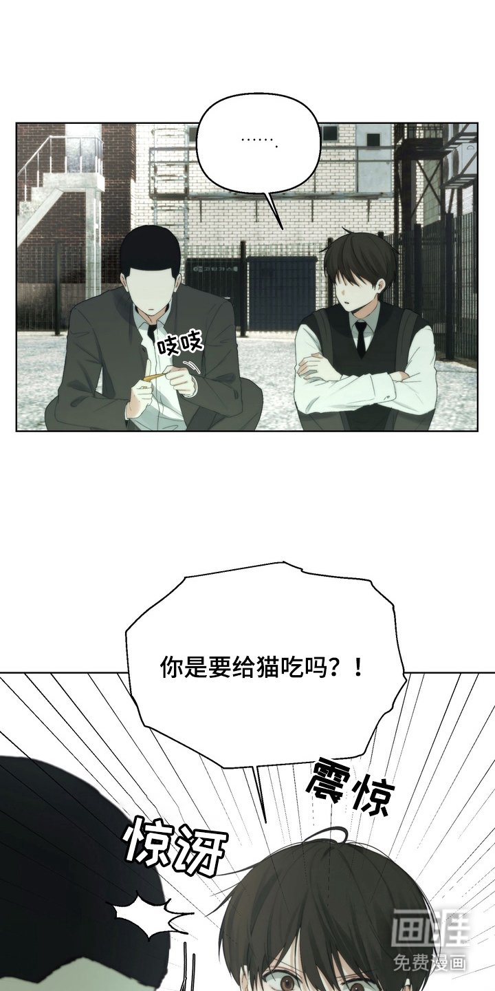 第4章：名字