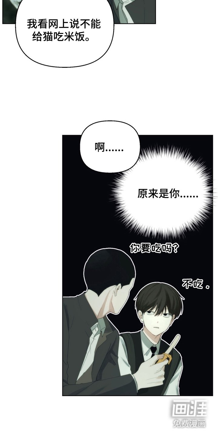 第4章：名字