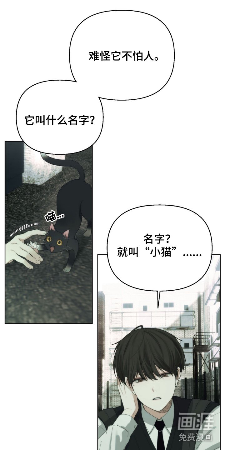 第4章：名字