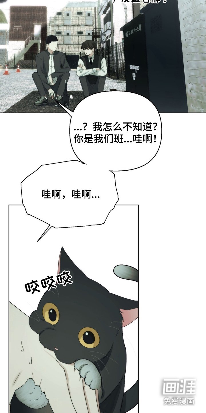 第5章：专心学习