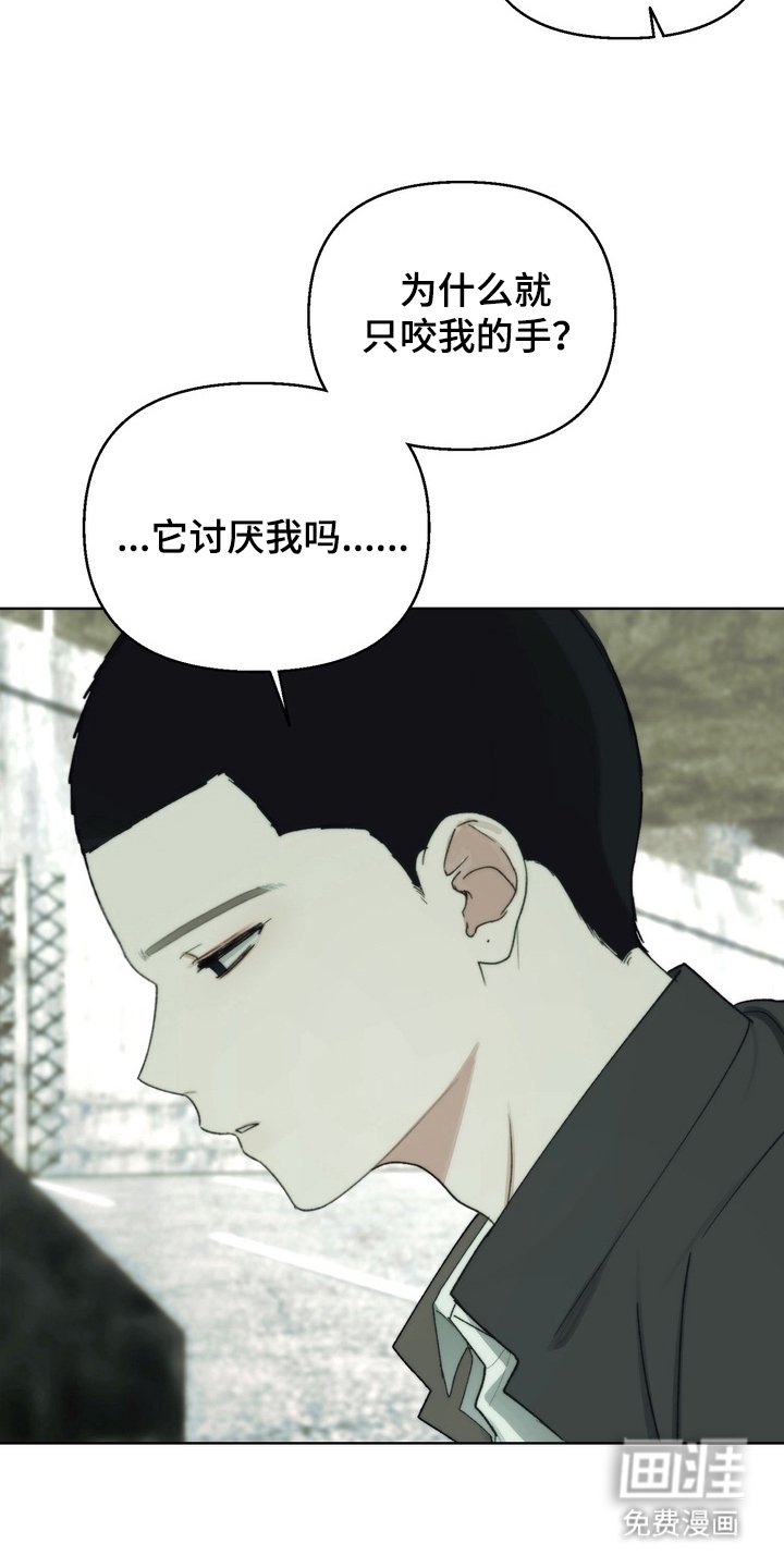 第5章：专心学习