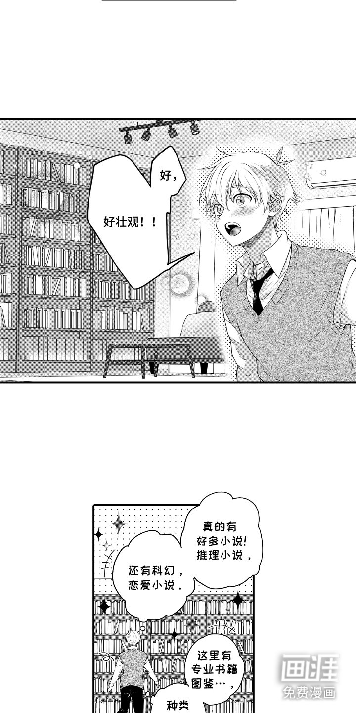 第11章：理由