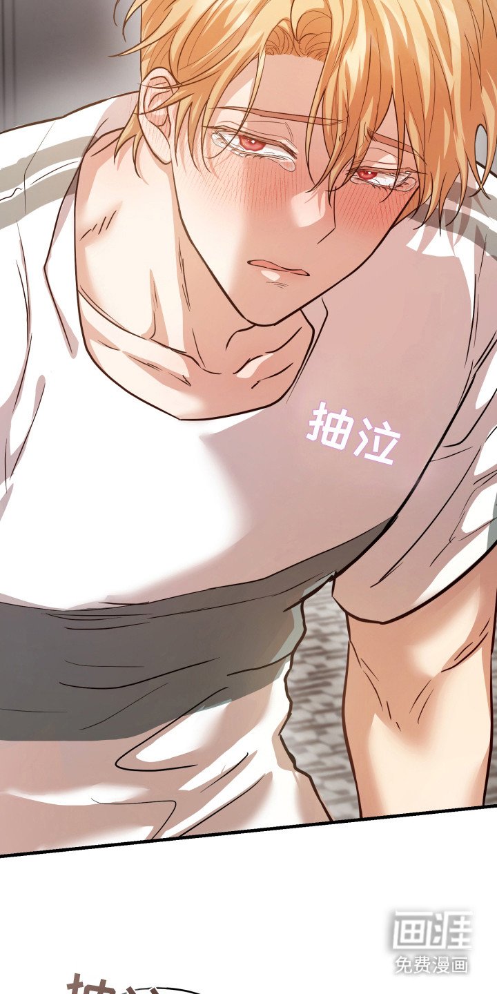 第12章：万事俱备