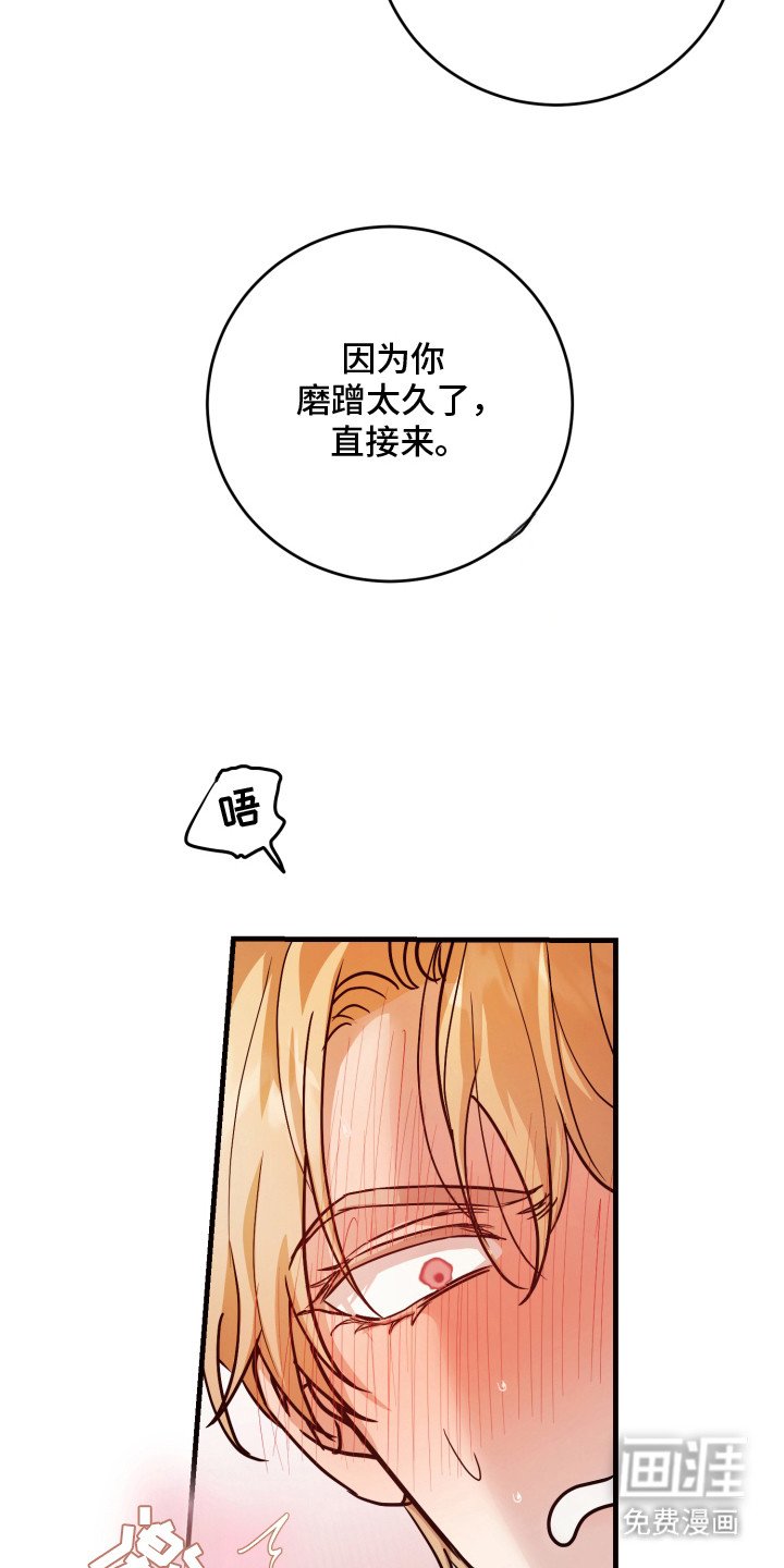 第13章：如你所愿