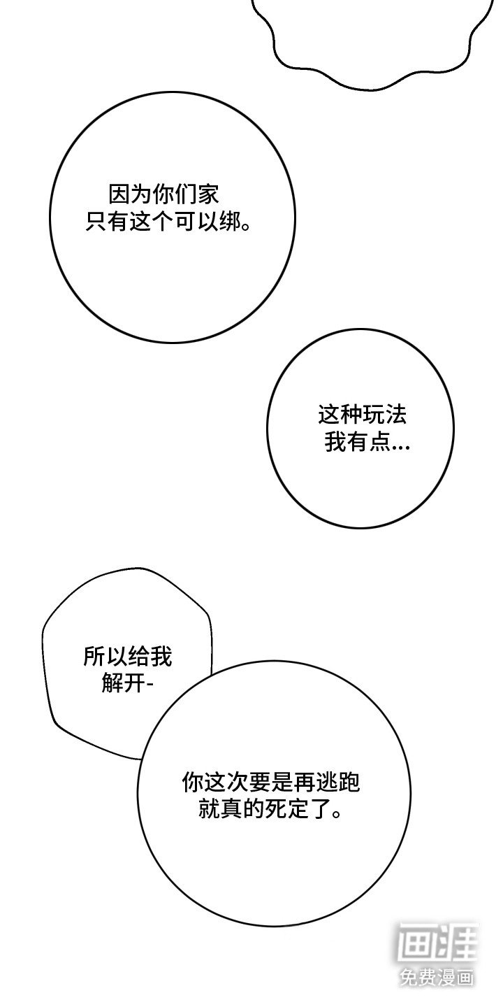 第15章：真的喜欢（完结）