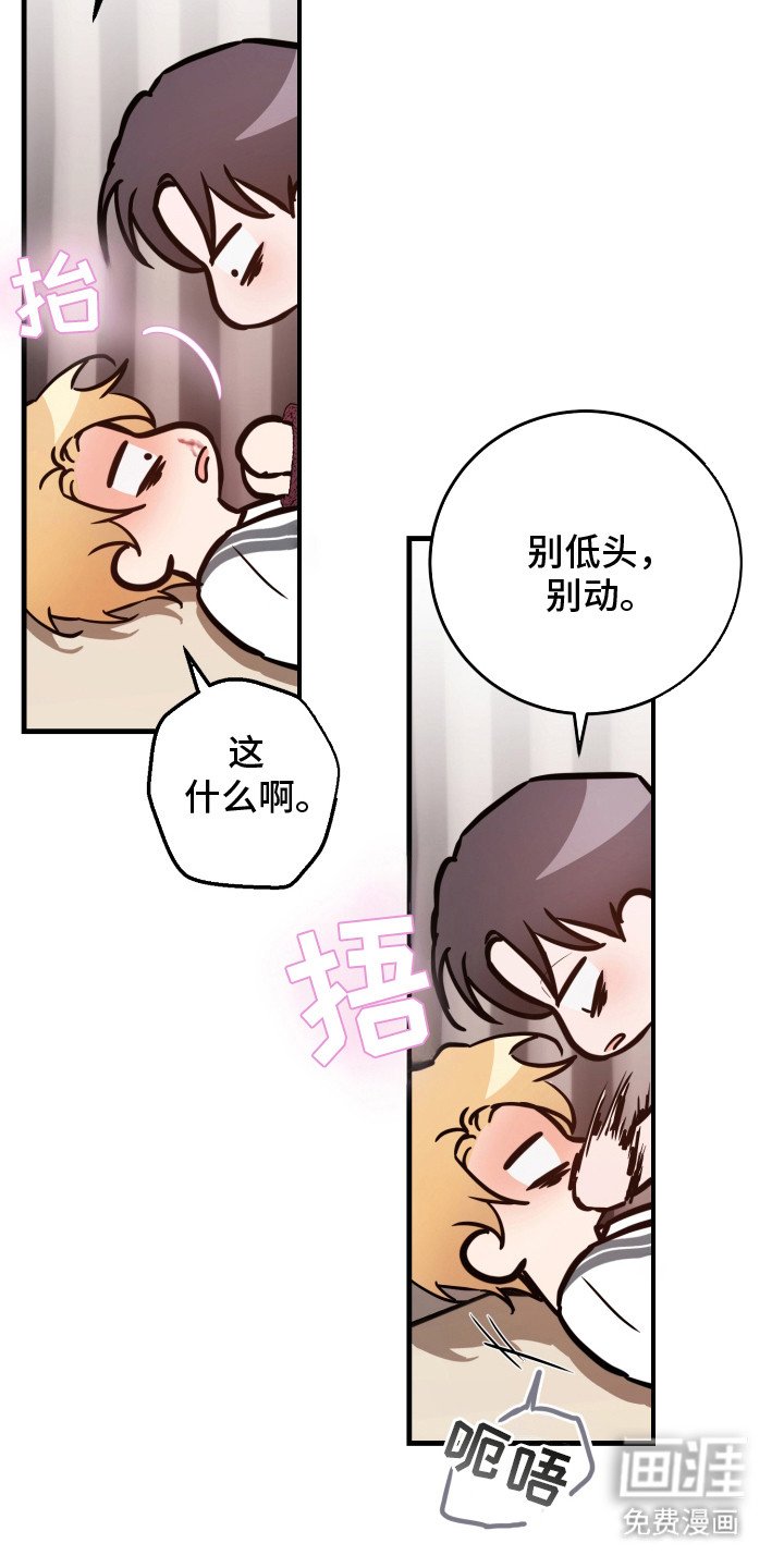 第15章：真的喜欢（完结）