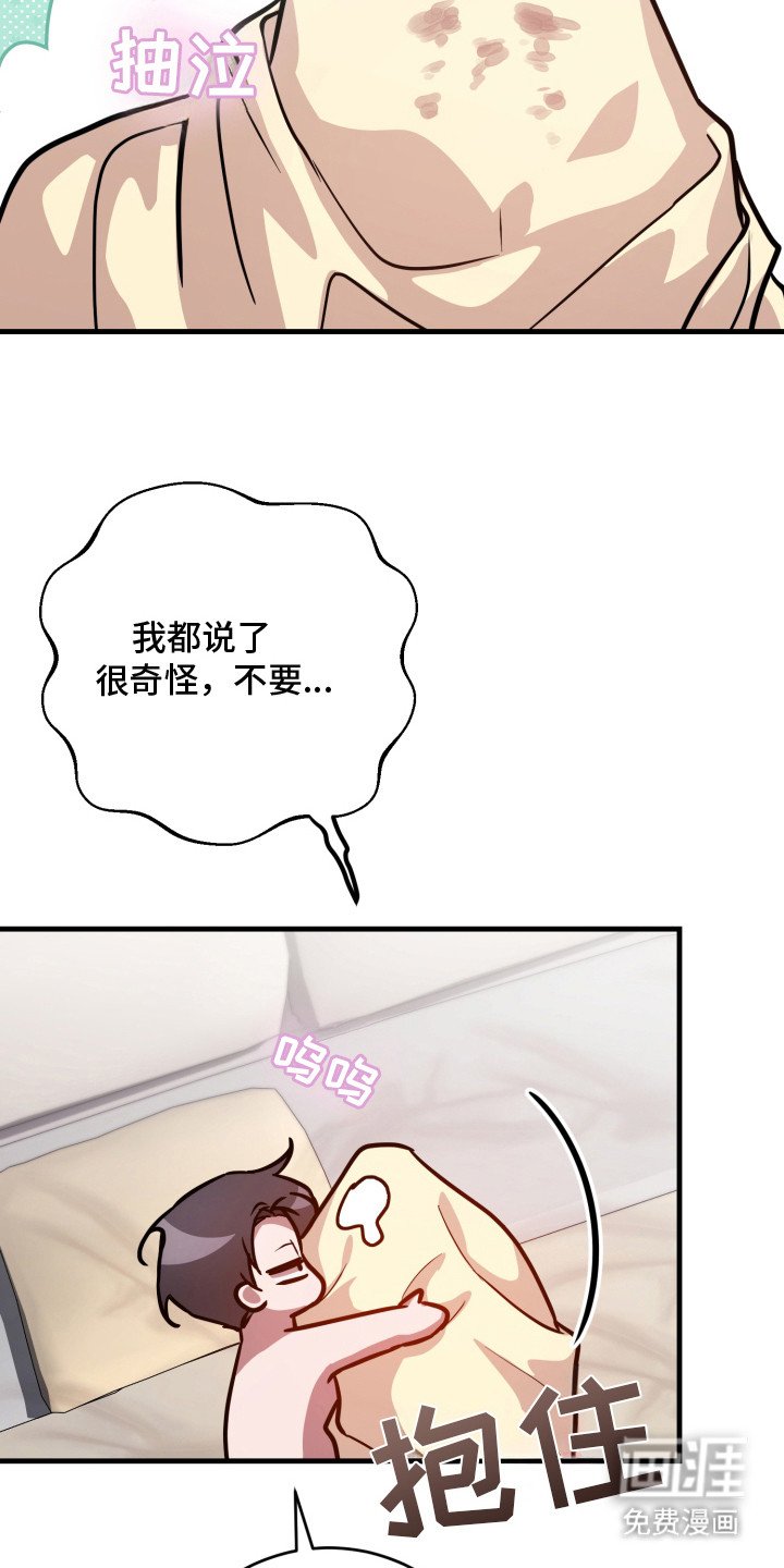 第15章：真的喜欢（完结）