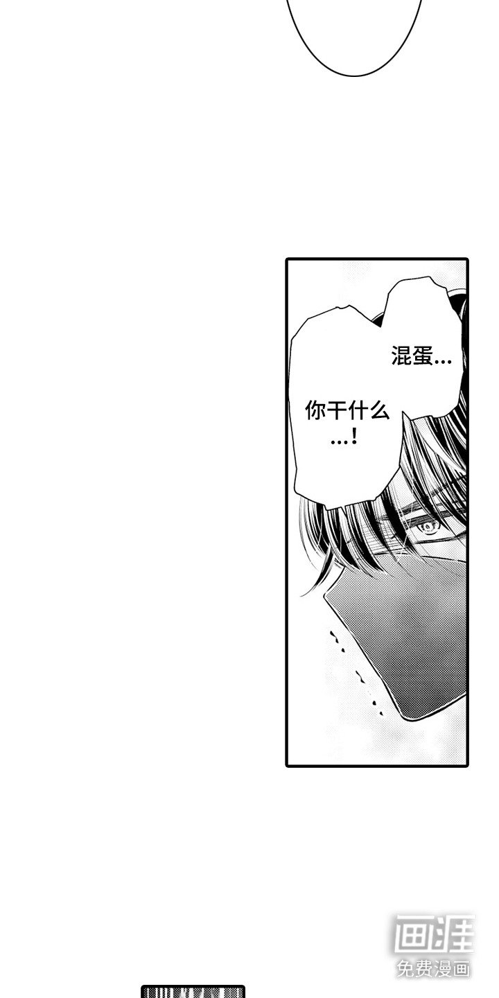 第6章：忍者VS刺客（言情）：陷阱