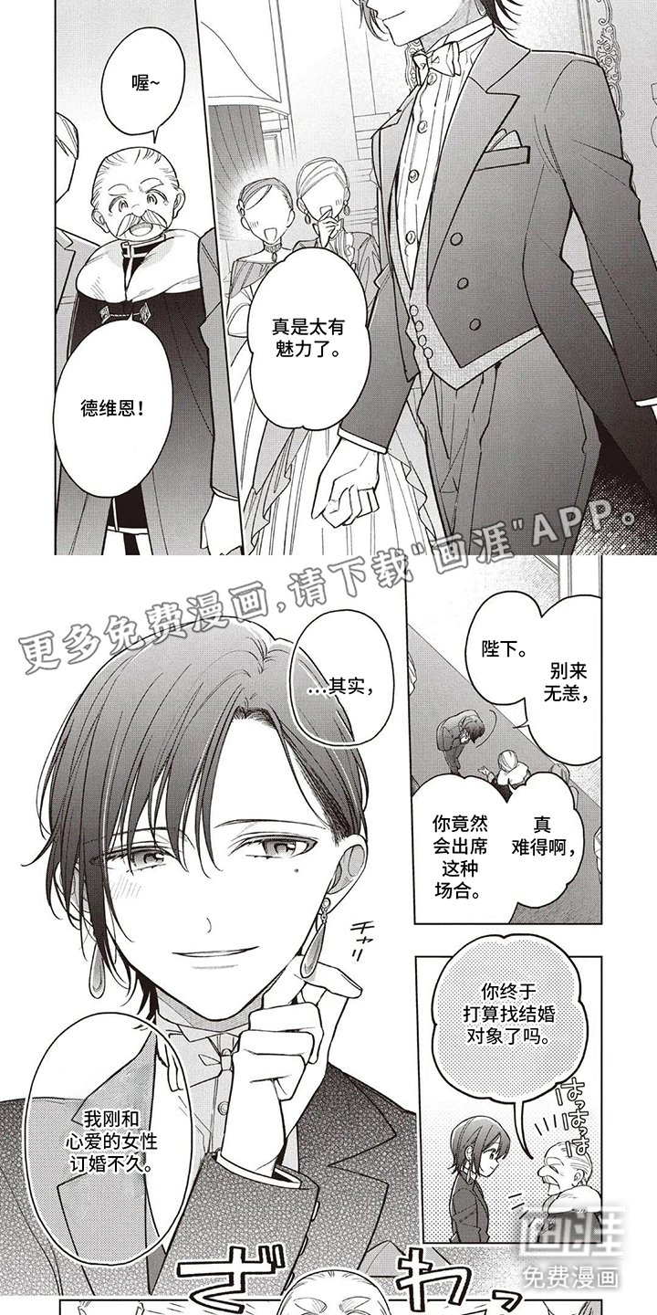 第14章：为什么那么做
