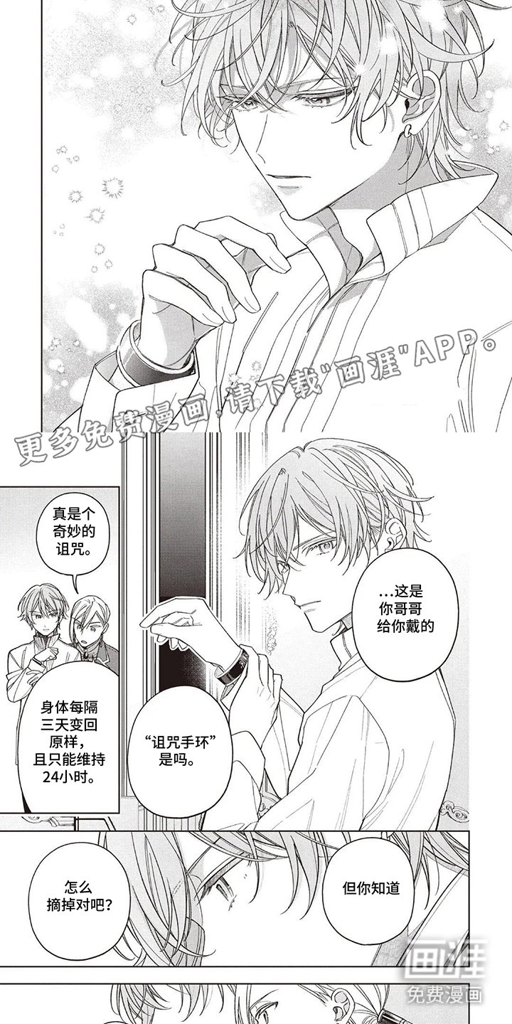 第7章：礼物