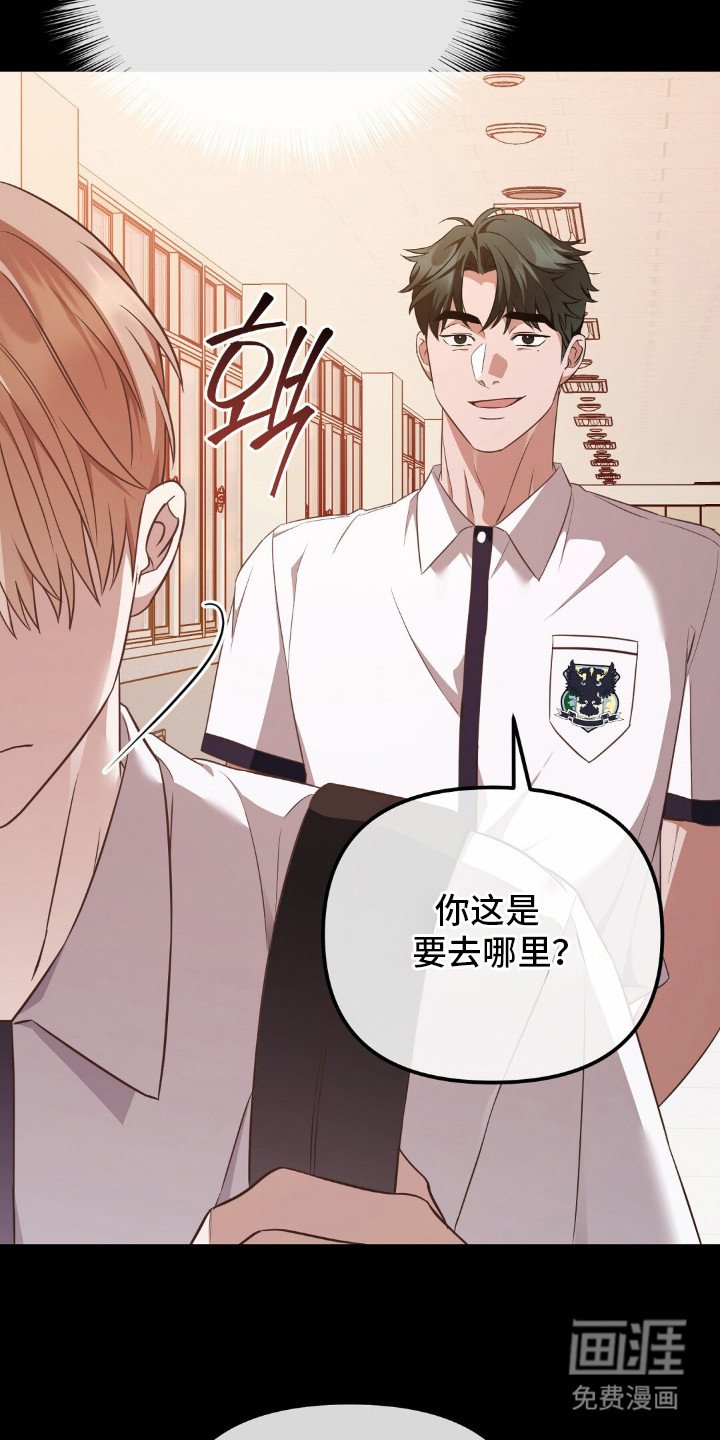 第12章：观察日记