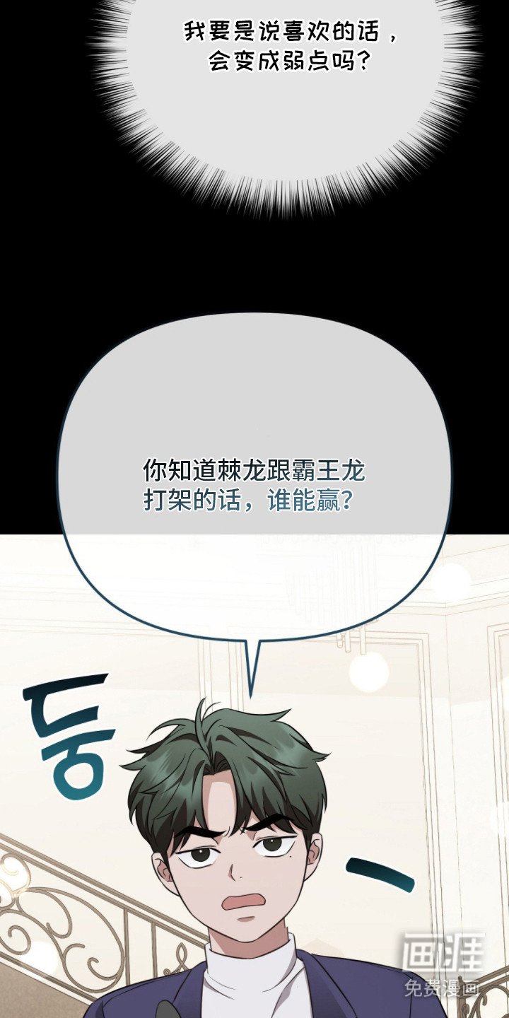 第14章：弱点