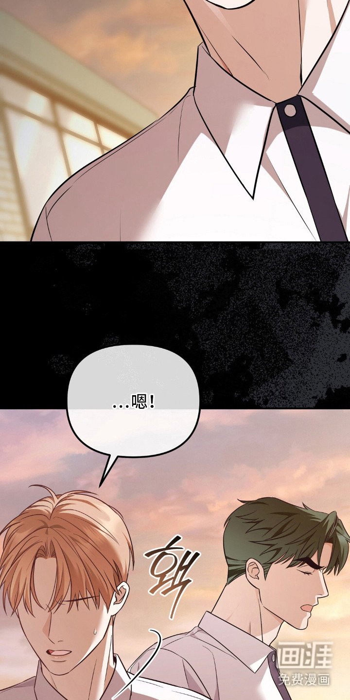 第16章：价值观