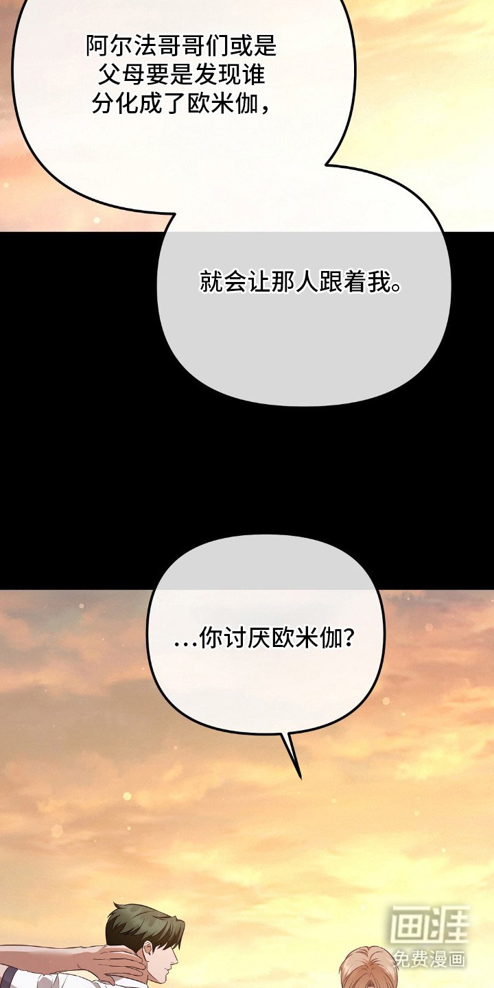 第16章：价值观