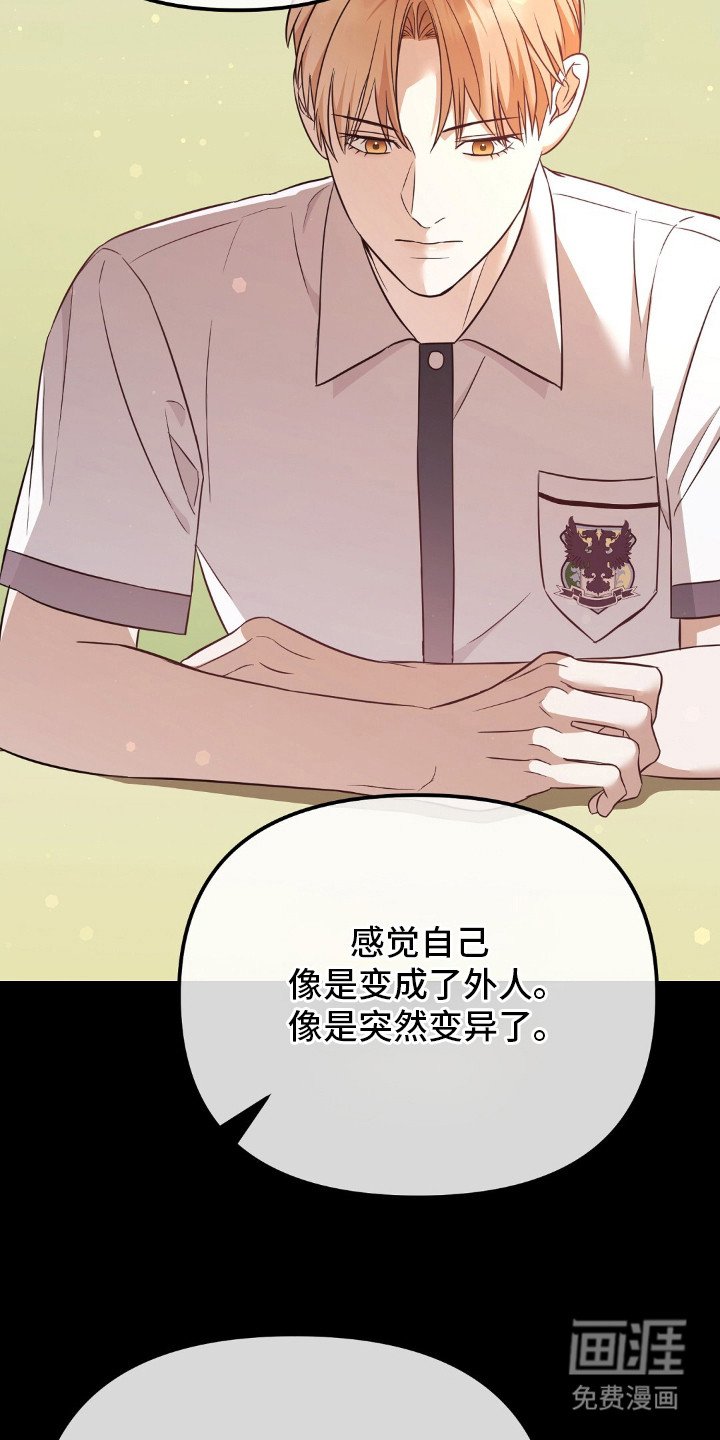 第16章：价值观