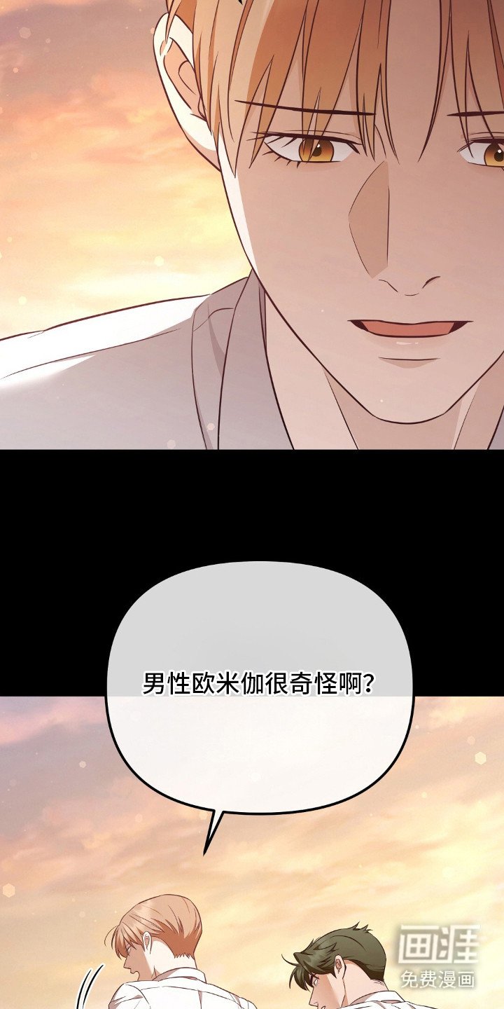 第16章：价值观