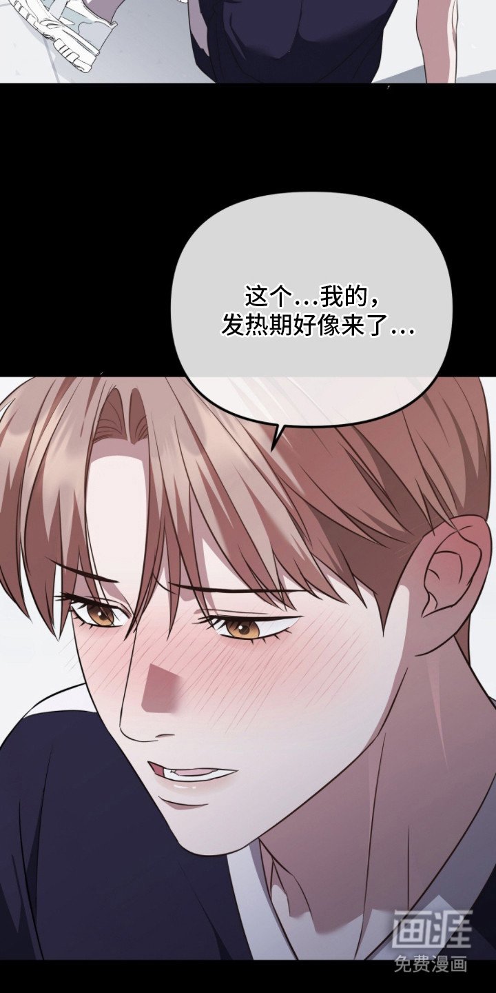 第24章：發熱期