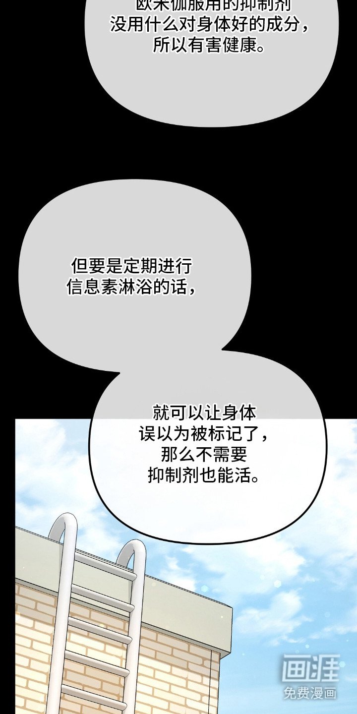 第27章：信息素沐浴