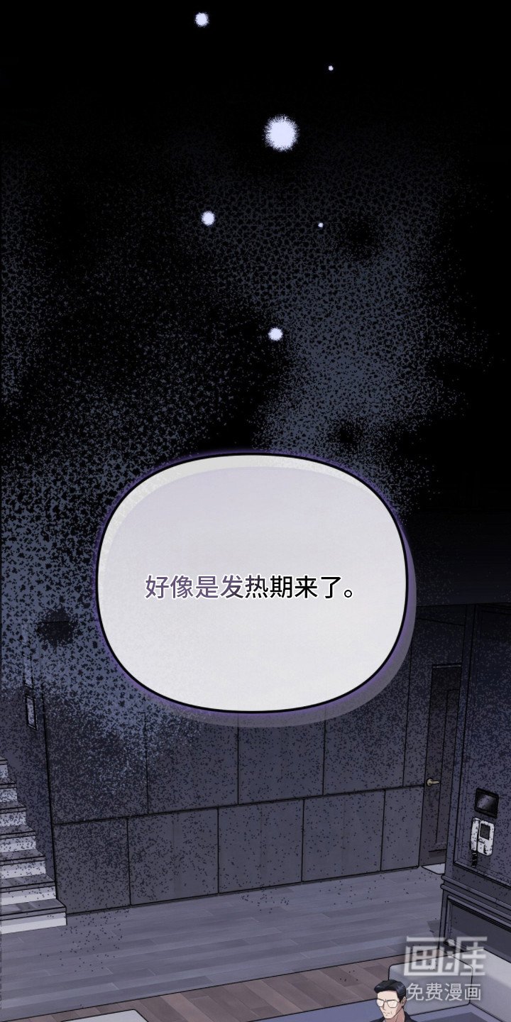 第4章：分化