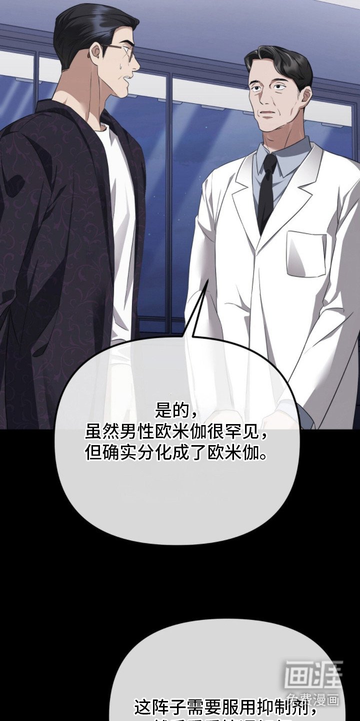 第4章：分化