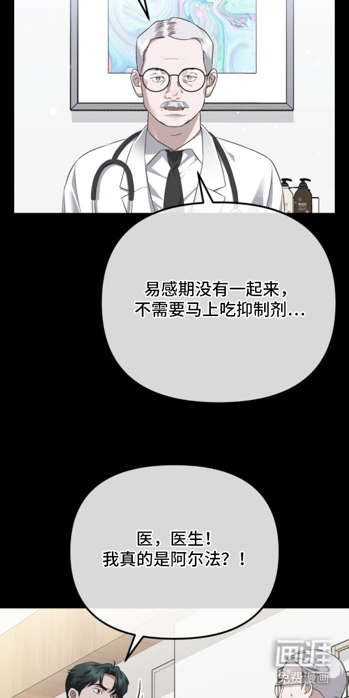 第5章：阿尔法