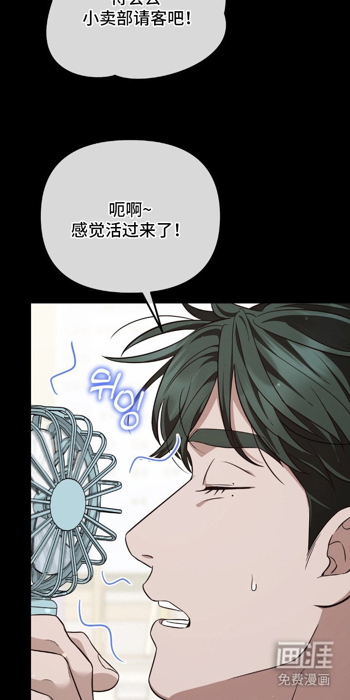 第8章：信息素