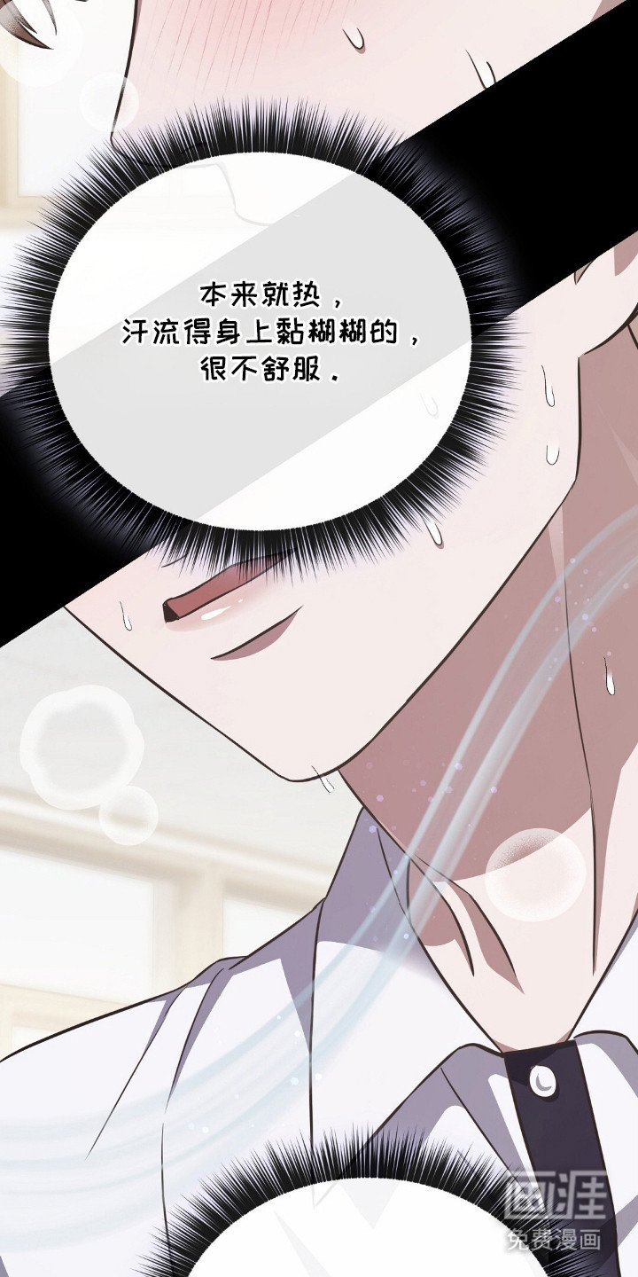 第8章：信息素