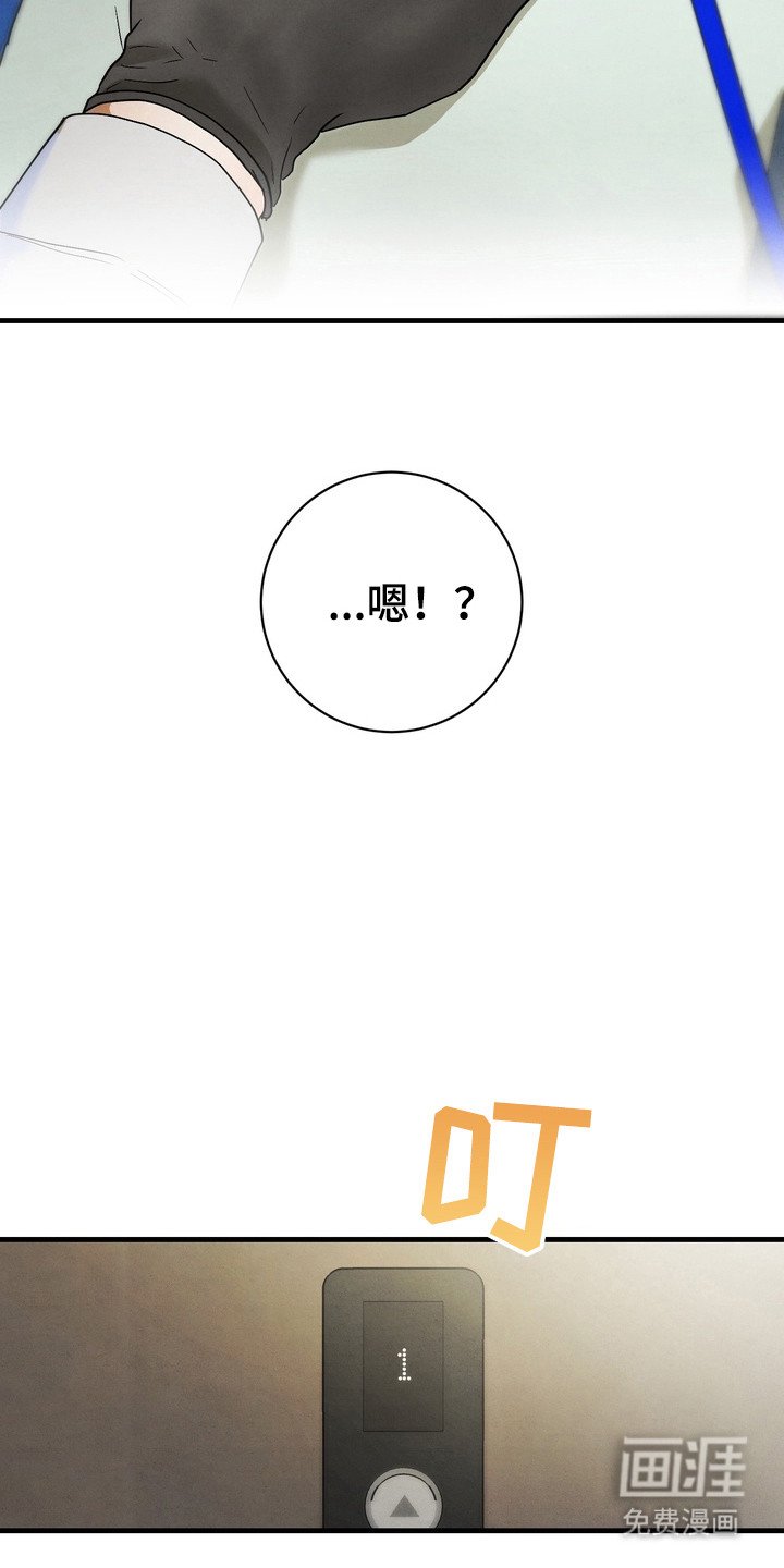 第10章：追随