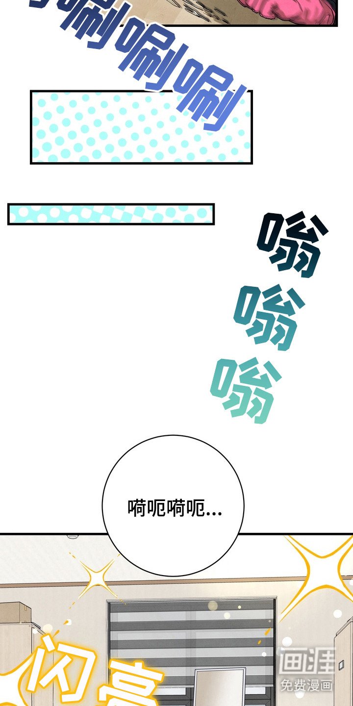 第3章：照片