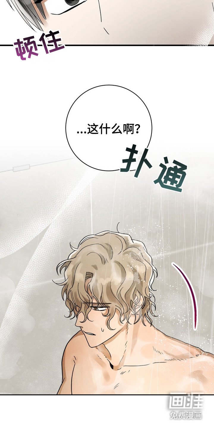 第4章：仔细冲洗