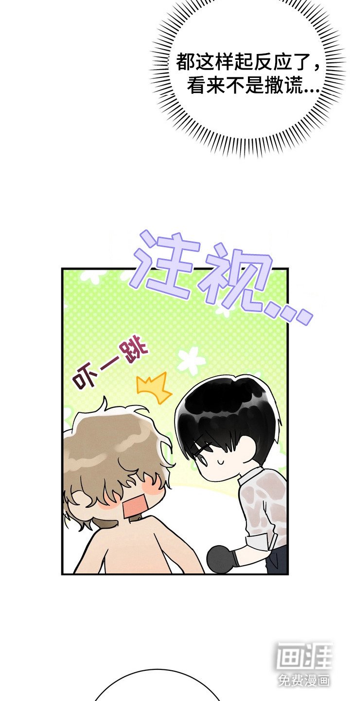 第4章：仔细冲洗